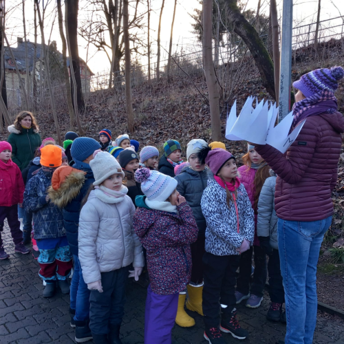 Reportážní foto 2.A, B, C - Tříkrálový běh a Den švihlé chůze