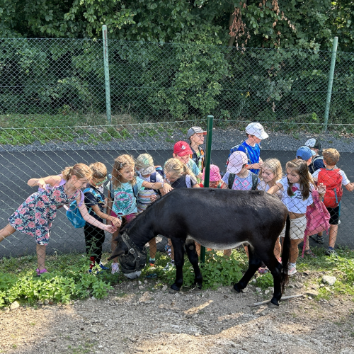 Reportážní foto - Harmonizační den - Liberecká Výšina