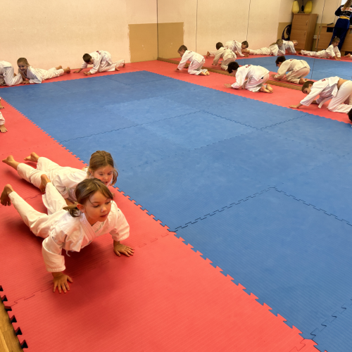 Reportážní foto - Judo