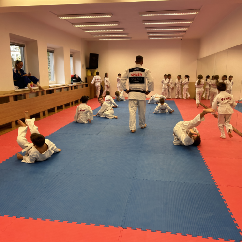 Reportážní foto - Judo