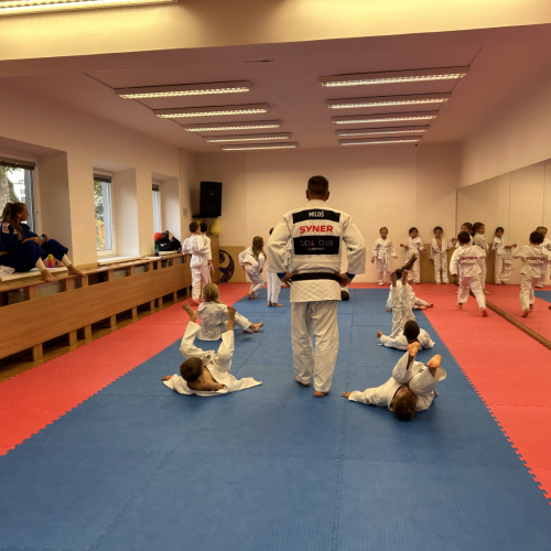 Reportážní foto - Judo