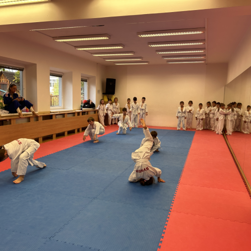 Reportážní foto - Judo