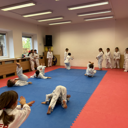 Reportážní foto - Judo