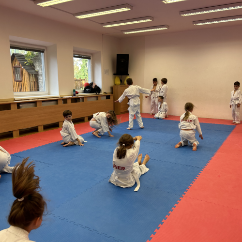 Reportážní foto - Judo