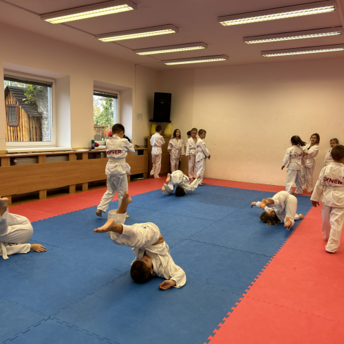 Reportážní foto - Judo