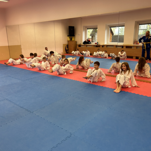 Reportážní foto - Judo