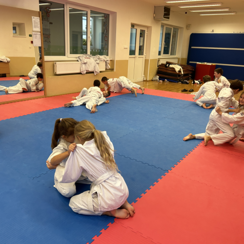 Reportážní foto - Judo