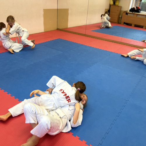 Reportážní foto - Judo