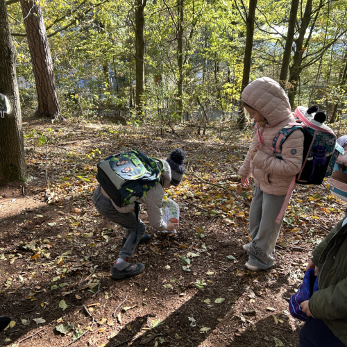 Reportážní foto - Poklady lesa